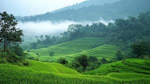 Assam
