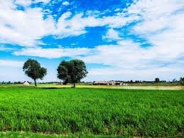 Haryana