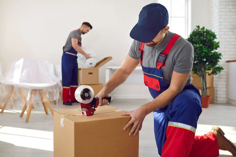 Packers and Movers In Mohali